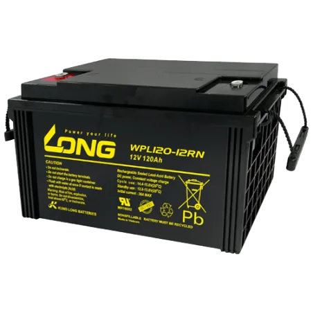 Batería Long WPL120-12RN 120Ah Long - 1