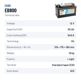 Batería de coche Exide EB800 12V 80Ah 640A | baterias.com