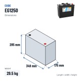 Batería de camión Exide EG1250 12V 125Ah 760A – medidas 349 × 175 × 285 mm