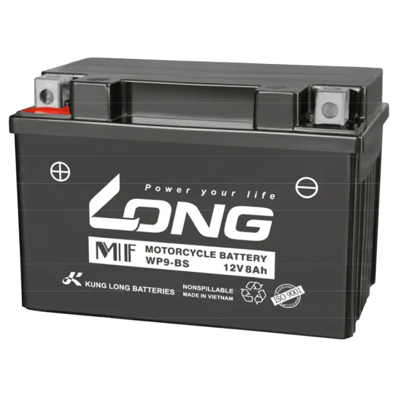Long WP9-BS. Autobatterie Long 8Ah 12V