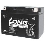 Batería Long WP9B-4 8Ah - 1