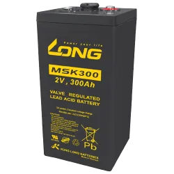 Batteria Long MSK300 300Ah Long - 1