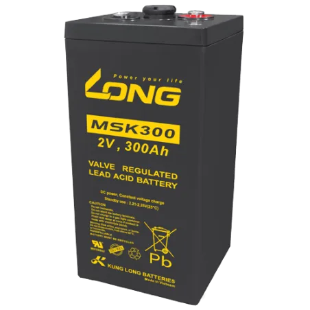 Batteria Long MSK300 300Ah Long - 1