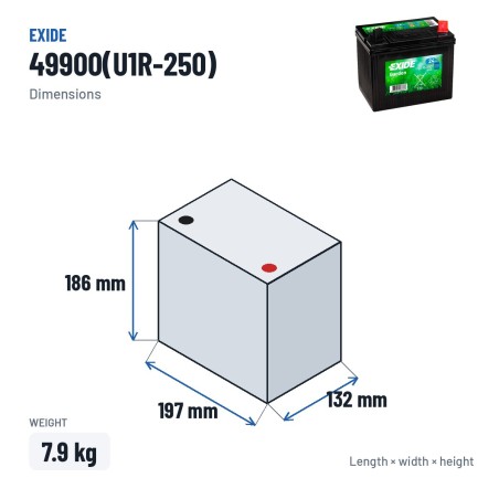 Batería de cortacésped Exide 49900(U1R-250) 12V 24Ah 250A