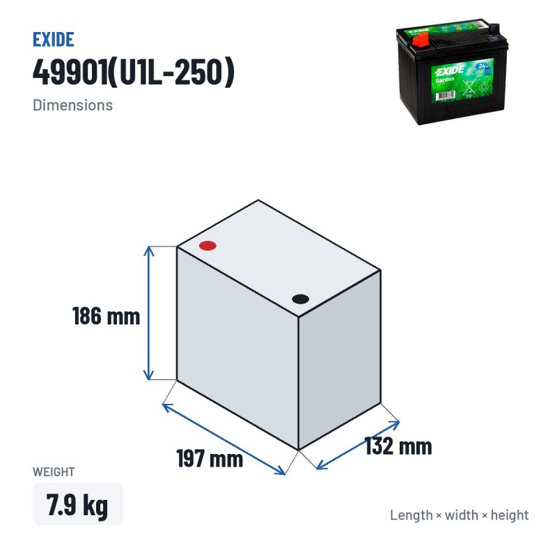 Lawnmower battery Exide 49901(U1L-250) 12V 24Ah 250A – dimensions 197 × 132 × 186 mm