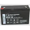 Batería Q-battery 6LS-12 12Ah Q-battery - 1