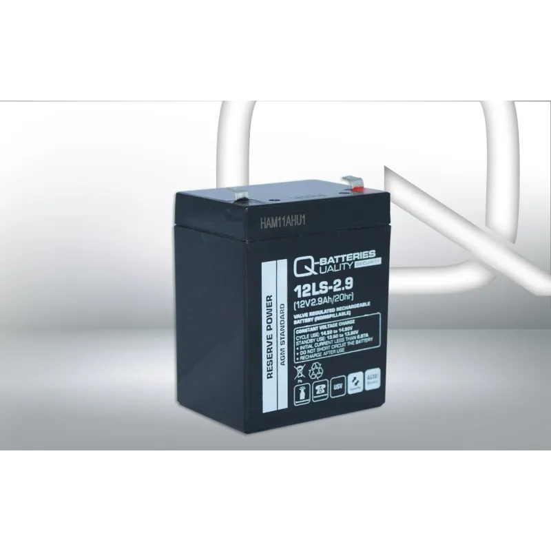 Batteria Q-battery 12LS-2.9 2.9Ah Q-battery - 1