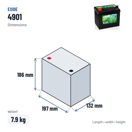 Batterie de tondeuse Exide 4901 12V 24Ah 250A – dimensions 197 × 132 × 186 mm