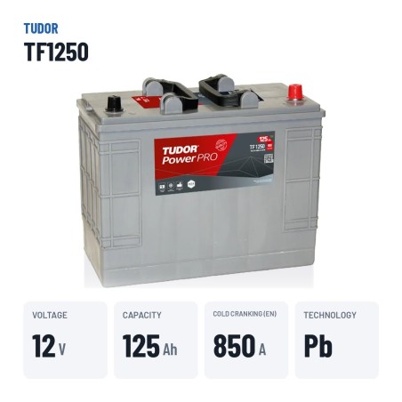 Batteria camion Tudor TF1250 12V 125Ah 850A | baterias.com