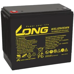 Long WXL12505WN. Battery for UPS Long 130Ah 12V