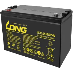 Bateria Long WXL12365WN 95Ah Long - 1