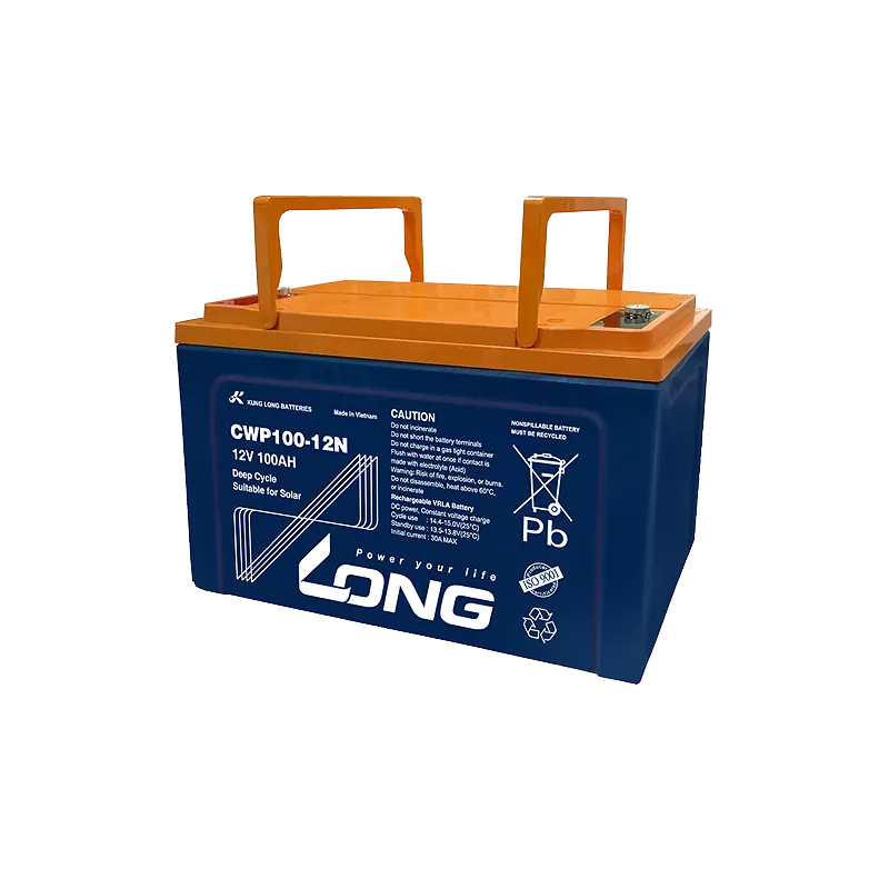 Batterie Long CWP100-12N 100Ah Long - 1
