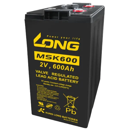 Long MSK600. Batteria per sistemi di telecomunicazione Long 600Ah 2V