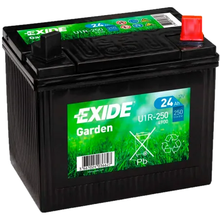 Batteria Exide 49900(U1R-250) 24Ah EXIDE - 1