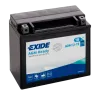 Battery Exide AGM12-19 18Ah EXIDE - 1