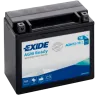 Bateria Exide AGM12-19.1 18Ah EXIDE - 1