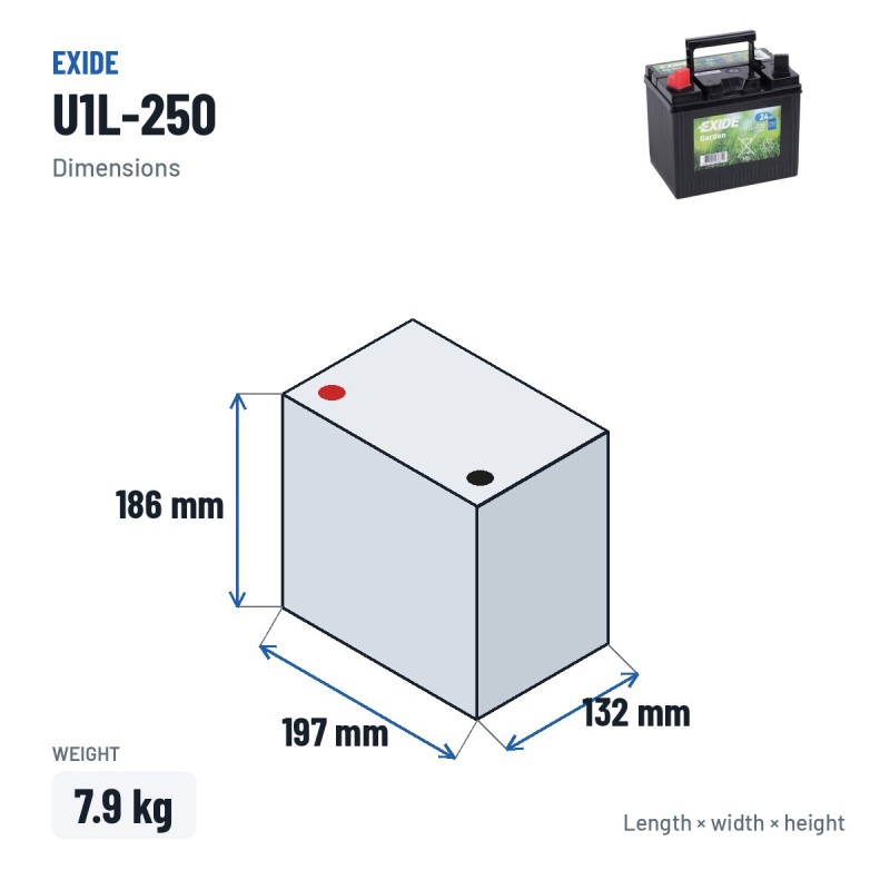 Batteria per rasaerba Exide U1L-250 12V 24Ah 250A – dimensioni 197 × 132 × 186 mm