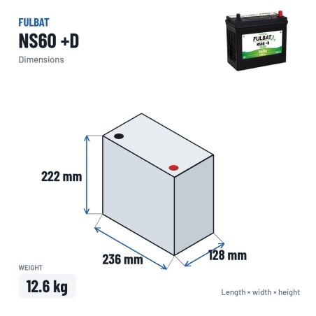 Rasenmäher-Batterie Fulbat NS60 +D 12V 45Ah 350A | baterias.com