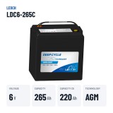 Golf cart battery Leoch LDC6-265C 6V 265Ah AGM – key specs