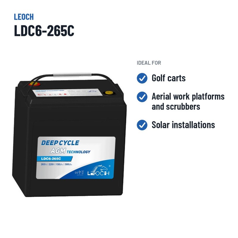 Batteria per golf cart Leoch LDC6-265C 6V 265Ah AGM
