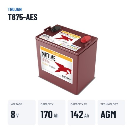 Bateria de ciclo profundo Trojan T875-AES 8V 170Ah AGM – dados principais