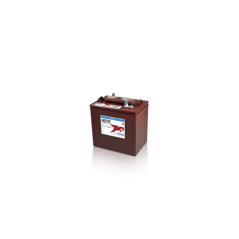 Batterie TROJAN T-105 6V 225Ah