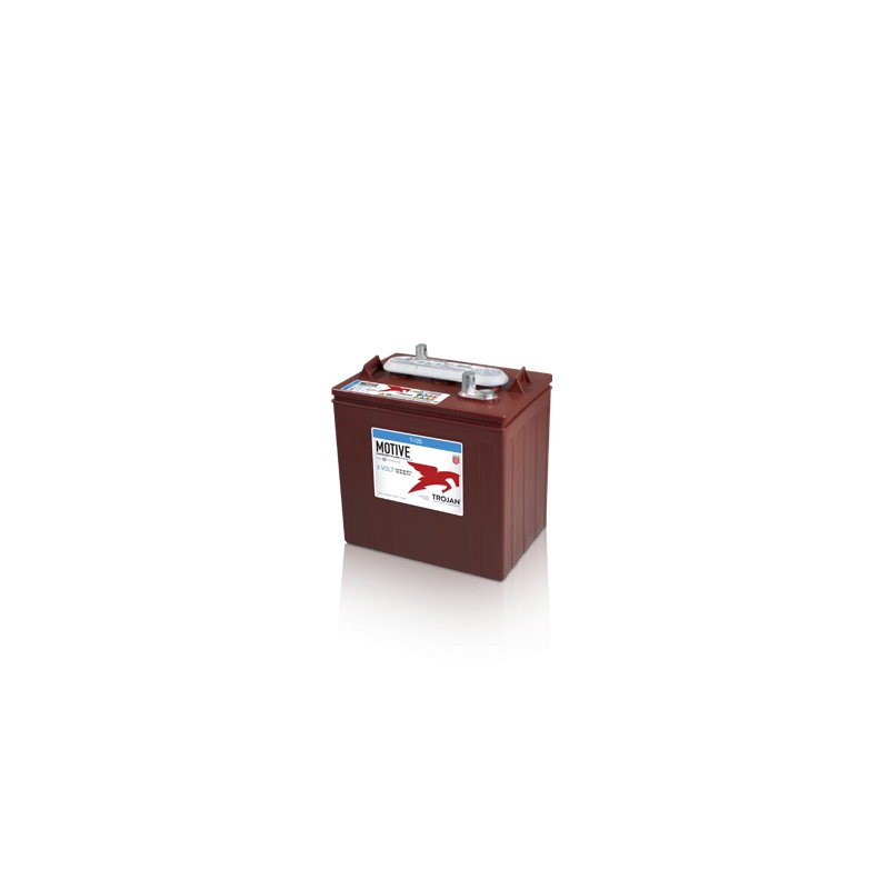 Batteria TROJAN T-125 6V 240Ah