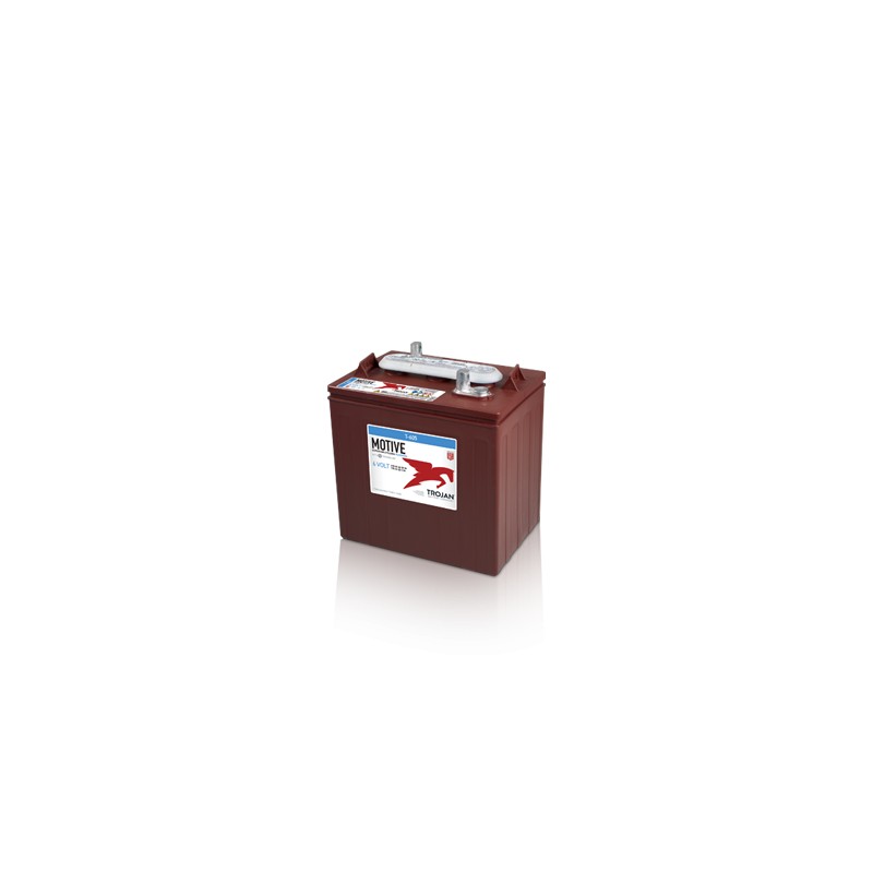 Batteria TROJAN T-605 6V 210Ah