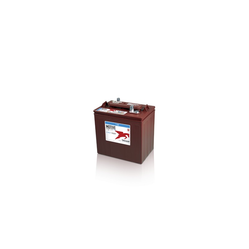 Batterie TROJAN T-605 6V 210Ah