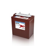 Batteria TROJAN T-875 8V 170Ah