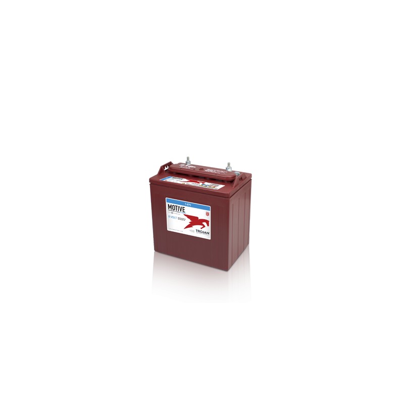 Batteria TROJAN T-875 8V 170Ah