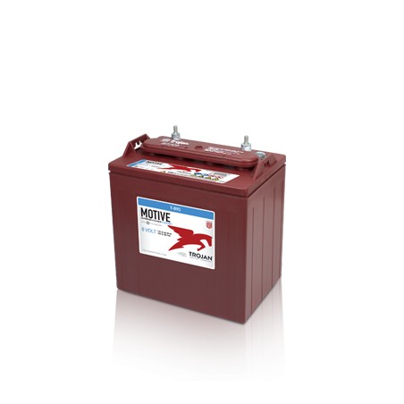 Batterie TROJAN T-890 8V 190Ah