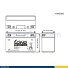 Batería Long WP7B-4 6.5Ah - 2