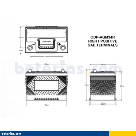 Car battery Odyssey ODP-AGM34R 61Ah 792A AGM – image 2