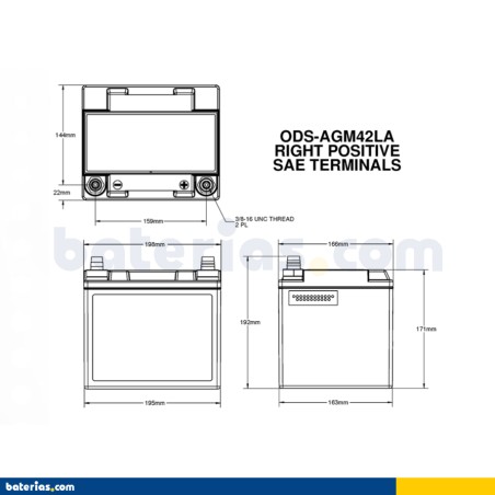 Batería Odyssey PC1200T ODS-AGM42LA 42Ah - 2