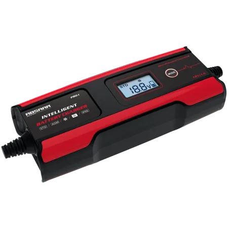 Caricabatterie ABSAAR Pro1.0 1Amp 6/12V Maintenance Charger ABSAAR - 1