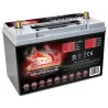 Battery Fullriver FT1100-31 110Ah FULLRIVER - 1