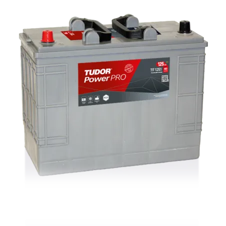 Tudor TF1251. LKW-Batterie Tudor 125Ah 12V