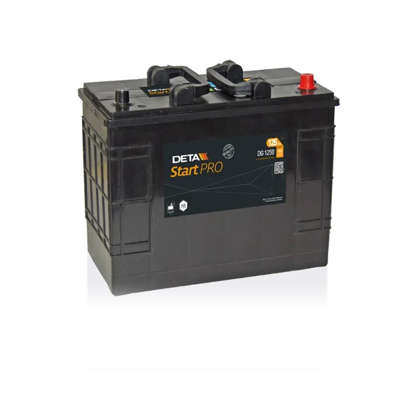 Deta DG1250. Batterie Deta 125Ah 12V