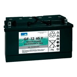 Comprar Batería Sonnenschein GF12065Y