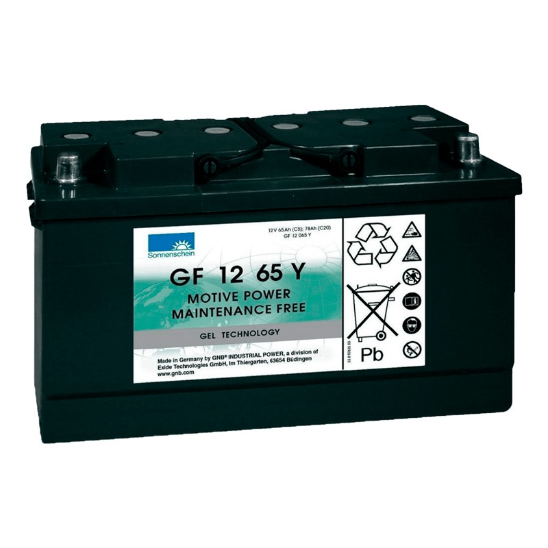 Comprar Batería Sonnenschein GF12065Y
