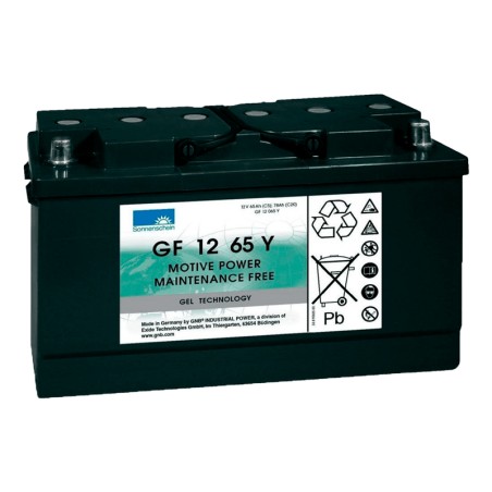 Batería Sonnenschein GF12065Y 12V