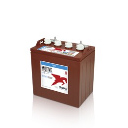 Battery TROJAN T-875 8V 170Ah