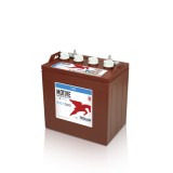 Batteria TROJAN T-875 8V 170Ah