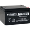Rasenmäher-Batterie Fulbat FP12-12 12V 12Ah AGM | baterias.com