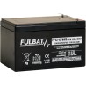 Rasenmäher-Batterie Fulbat FP12-12 12V 12Ah AGM | baterias.com