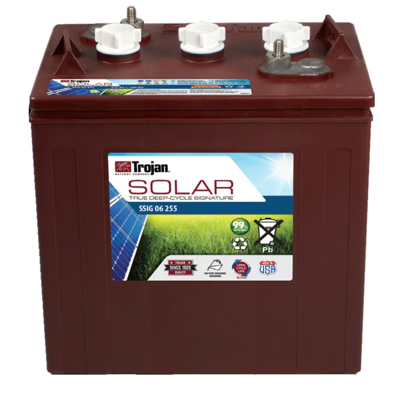 Battery Trojan SSIG 06 255 229Ah 6V Solar Signatura 100 Ciclos 50% Dod TROJAN - 1