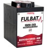 Batería de tracción Fulbat FDC6-245 AGM 6V 210Ah AGM