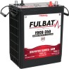 Batteria a trazione Fulbat FDC6-350 AGM 6V 305Ah AGM