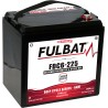 Traction battery Fulbat FDC6-225 AGM 6V 192Ah AGM | baterias.com
